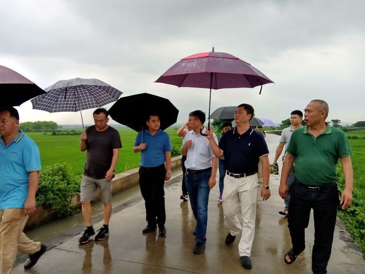 北京師范大學環境學院教授、博士生導師、濕地專家崔保山蒞臨?？谡{研濕地保護修復與合理利用工作
